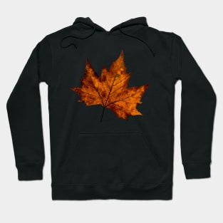 Maple Autumn Leaves Hoodie